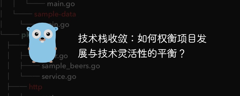 技术栈收敛：如何权衡项目发展与技术灵活性的平衡？