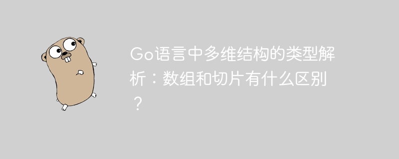 Go语言中多维结构的类型解析：数组和切片有什么区别？