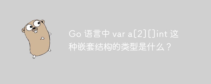 Go 语言中 var a[2][]int 这种嵌套结构的类型是什么？