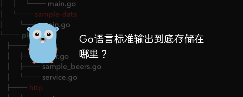 Go语言标准输出到底存储在哪里？