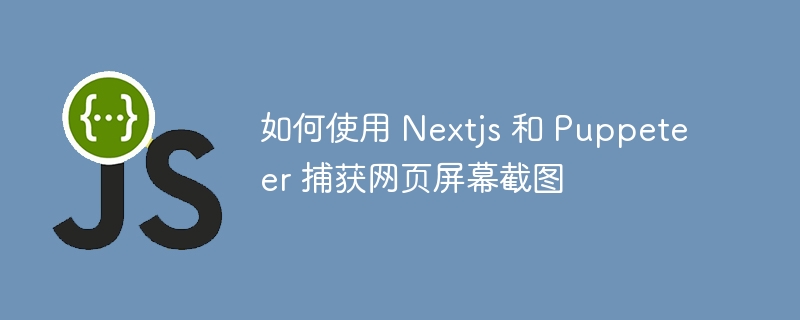 如何使用 Nextjs 和 Puppeteer 捕获网页屏幕截图