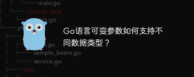 Go语言可变参数如何支持不同数据类型？