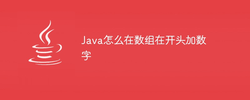 Java怎么在数组在开头加数字