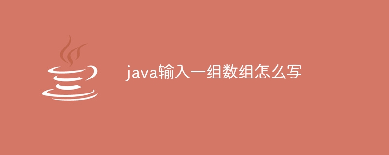 java输入一组数组怎么写