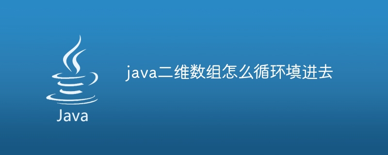 java二维数组怎么循环填进去