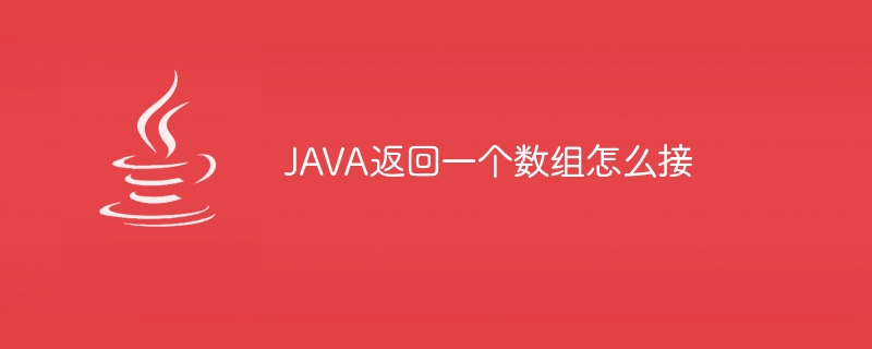 JAVA返回一个数组怎么接