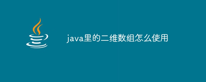 java里的二维数组怎么使用