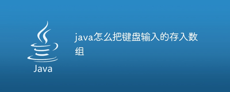 java怎么把键盘输入的存入数组