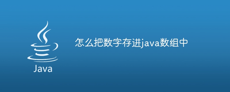 怎么把数字存进java数组中