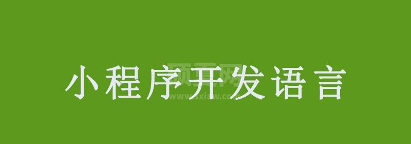 小程序开发可以用什么语言？