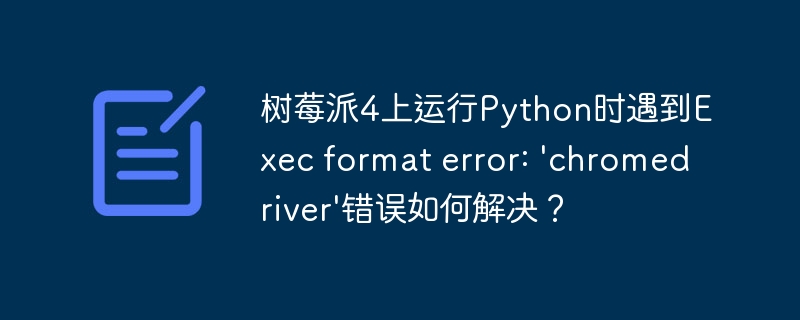 树莓派4上运行Python时遇到Exec format error: 'chromedriver'错误如何解决？