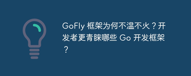 GoFly 框架为何不温不火？开发者更青睐哪些 Go 开发框架？