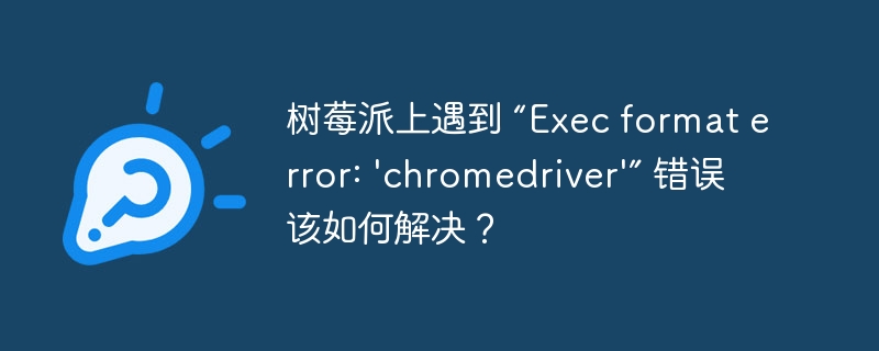 树莓派上遇到 “Exec format error: 'chromedriver'” 错误该如何解决？