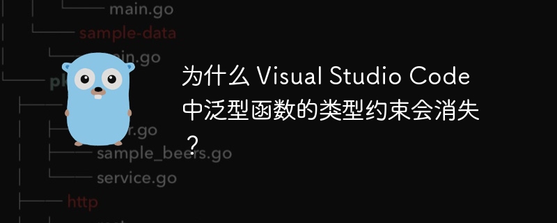 为什么 Visual Studio Code 中泛型函数的类型约束会消失？