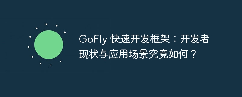 GoFly 快速开发框架：开发者现状与应用场景究竟如何？