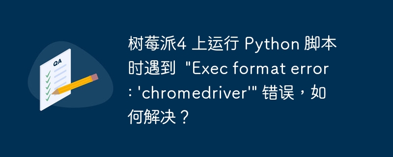 树莓派4 上运行 Python 脚本时遇到  &quot;Exec format error: 'chromedriver'&quot; 错误，如何解决？