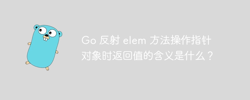 Go 反射 elem 方法操作指针对象时返回值的含义是什么？