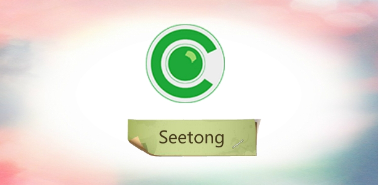 seetong纯净版