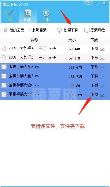 雷鸟网盘下载工具