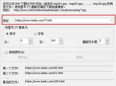 Internet Download Manager简体中文版