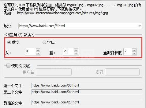 Internet Download Manager简体中文版