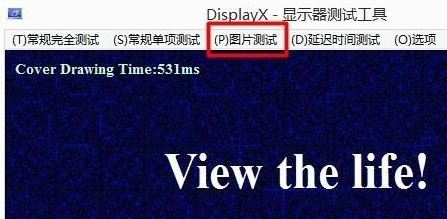 DisplayX屏幕测试软件_DisplayX v1.2显示器测试工具