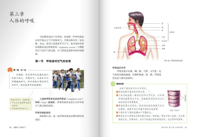 人教版七年级生物下册电子书