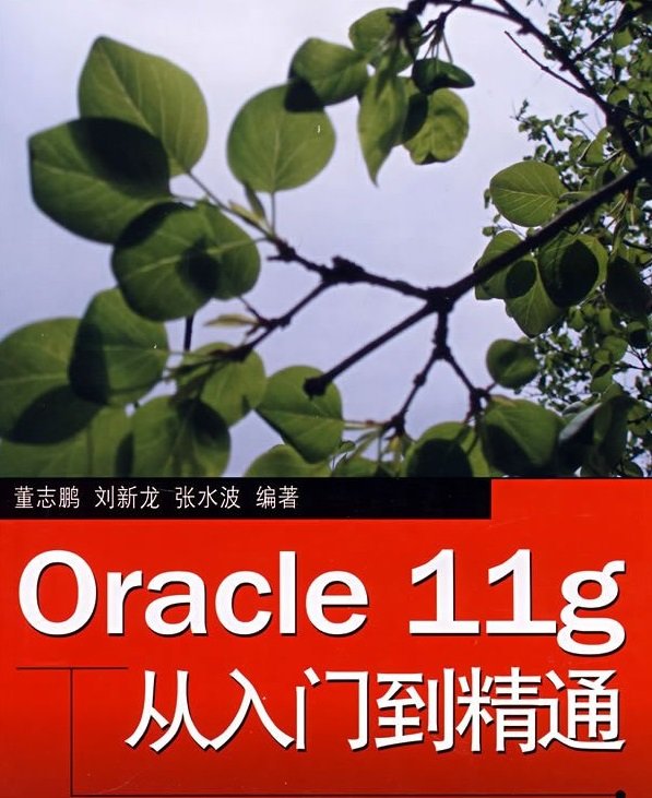 oracle11g从入门到精通pdf