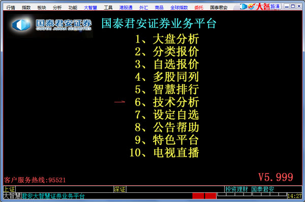 国泰君安大智慧 V5.9991