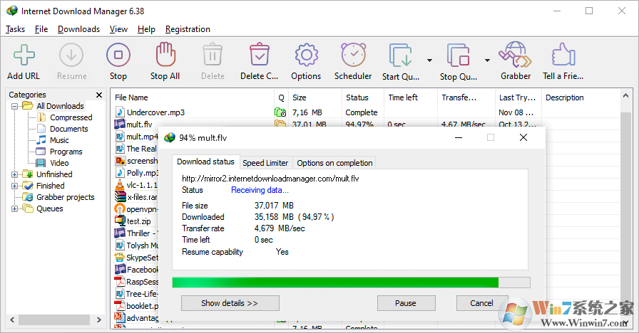 Internet Download Manager