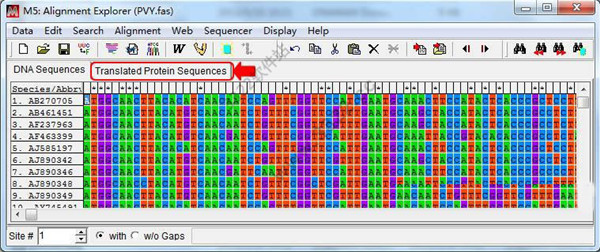 BioEdit