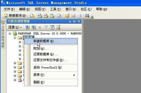 SQL Server 2008