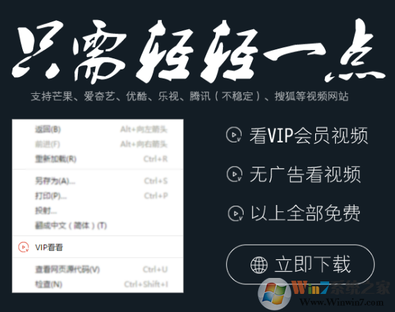 VIP看看(全网VIP视频解析工具)