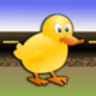 Ducklogo图