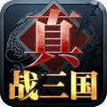 真战三国logo图