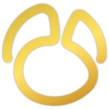 Navicat Premium纯净版软件logo图