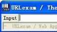 url解码工具下载_URLexam v1.2 绿色免费版软件logo图