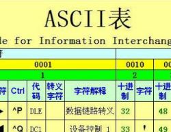 ascii码转换器下载_ASCII转换器v2020 绿色版(进制转换工具)软件logo图