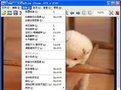 irfanview破解版_irfanview(图像查看工具)绿色汉化版软件logo图