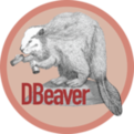 dbeaver下载_DBeaver数据库软件中文版软件logo图