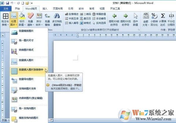 罗刚君Word工具箱(Word精灵) v4.4免费版软件logo图