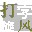 打字旋风(打字练习软件)软件logo图