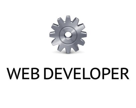 Web Developer(Chrome Web开发工具插件)软件logo图