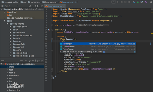 WebStorm(Web前端开发工具)  