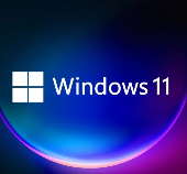 Win11永久激活工具软件logo图