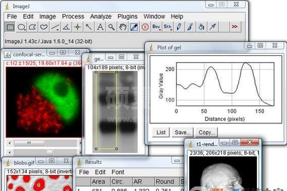 ImageJ下载_ImageJ(图像处理软件)绿色汉化版