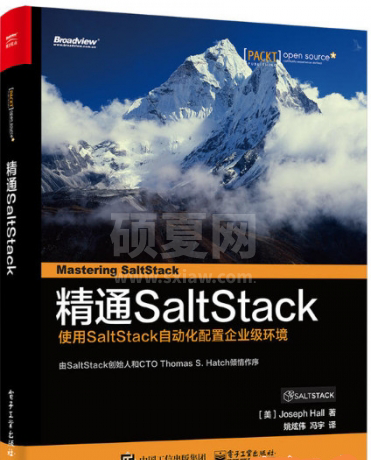 精通SaltStack PDF高清扫描完整版