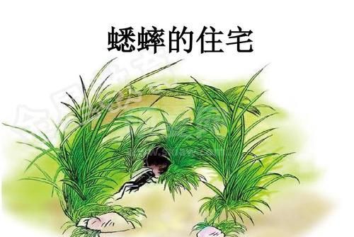 蟋蟀的住宅PPT下载|蟋蟀的住宅课文PPT课件免费版