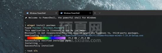 Windows程序包管理器