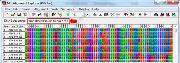 BioEdit序列对比分析软件